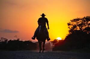 Photo: Pixabay/RonaldPlett/CC0/